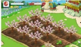 开心肉品农场爆料视频,独家爆料带你探秘农场养殖全过程