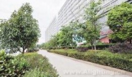 虹云大爆料视频,视频内容深度解析